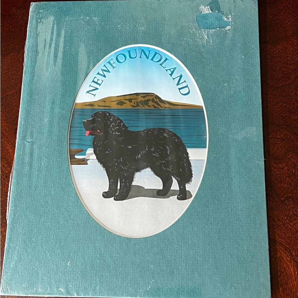 Newfoundland Dog Print, with Mat vintage/undisplayed